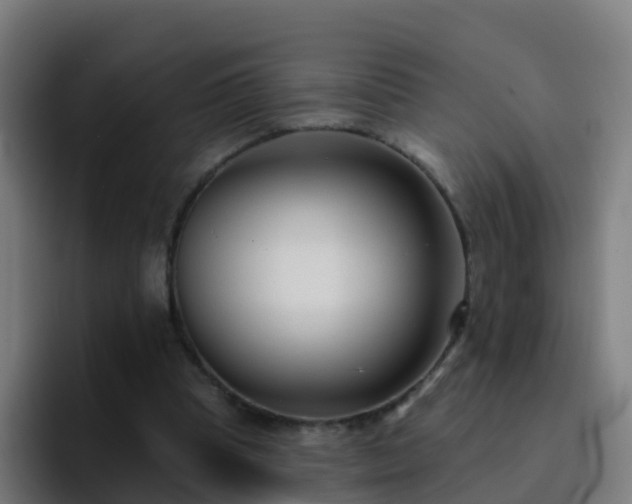 X0000094920345200712061113