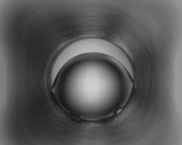 X0000094920348200712061113