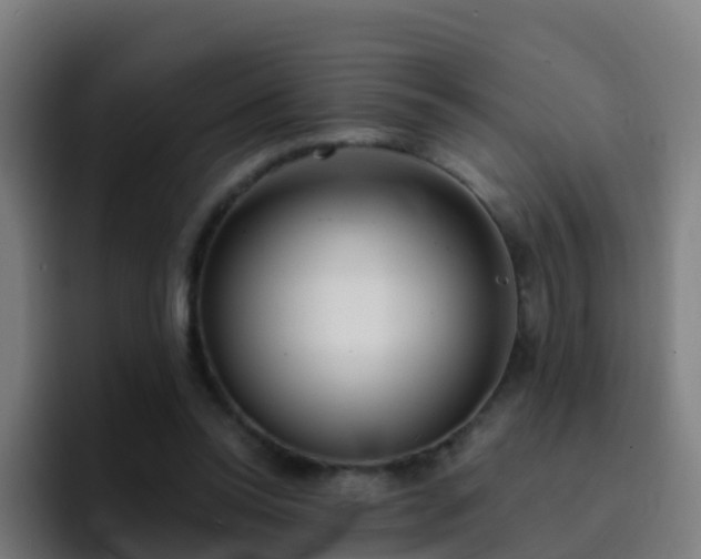 X0000094920350200712061113