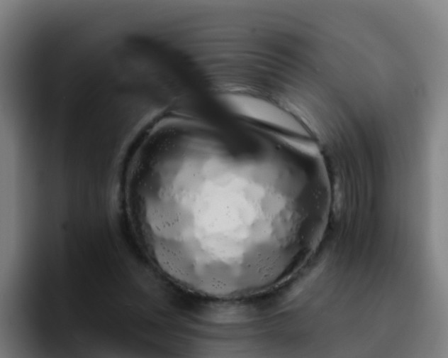 X0000094920351200712061113