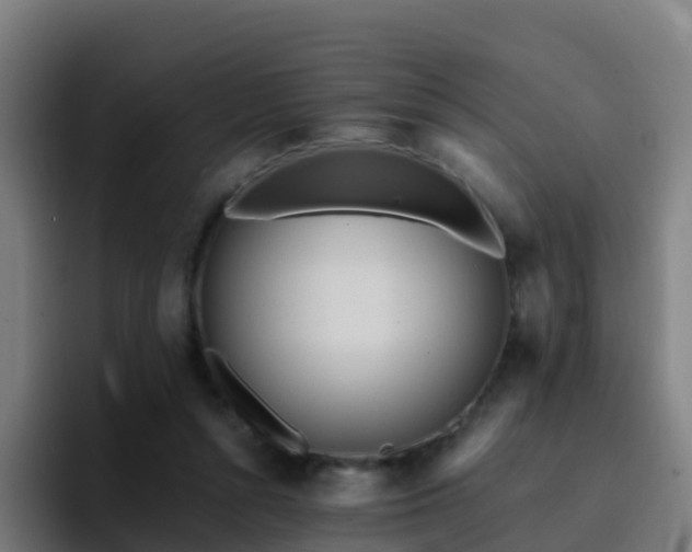 X0000094920352200712061113