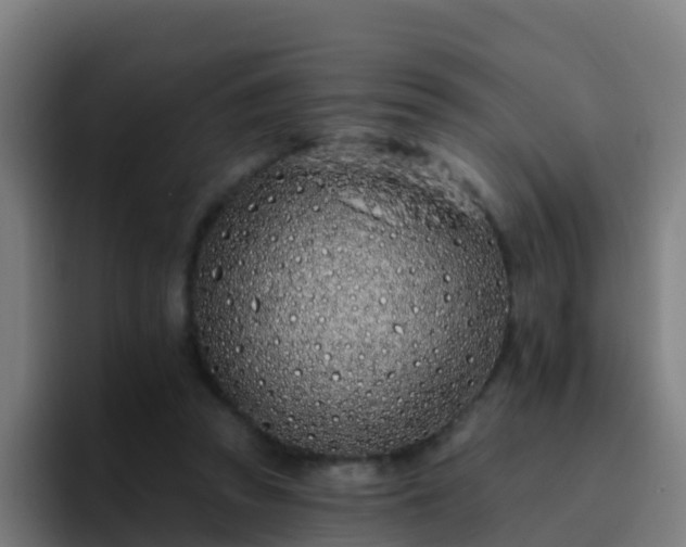 X0000094920353200712061113