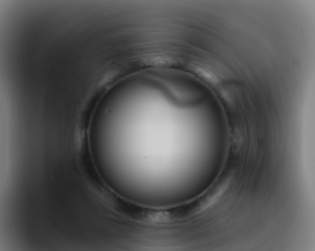 X0000094920355200712061113