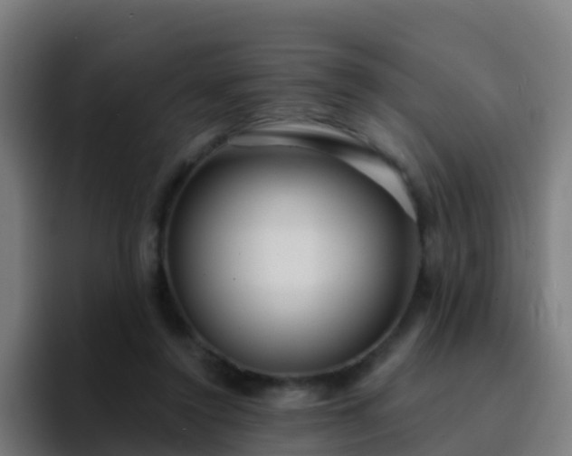 X0000094920356200712061113