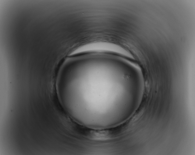 X0000094920359200712061113