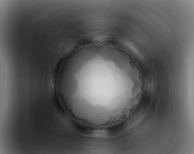 X0000094920363200712061113