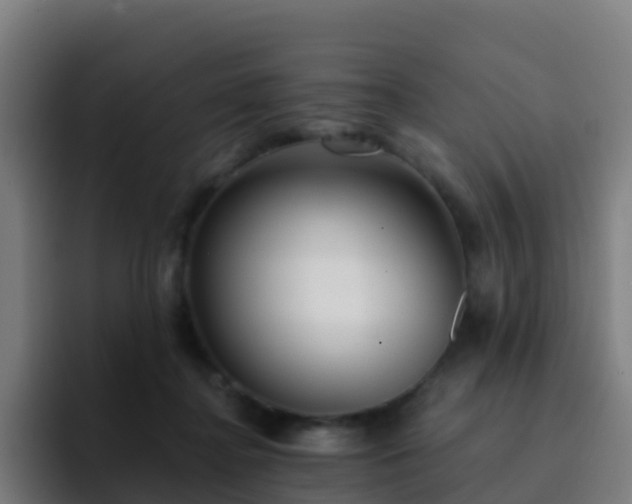 X0000094920364200712061113