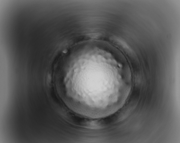 X0000094920365200712061113