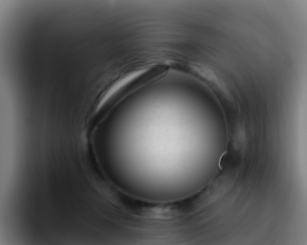 X0000094920366200712061114