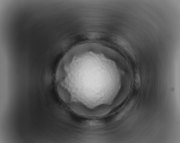 X0000094920367200712061114