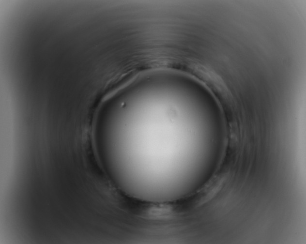 X0000094920369200712061114