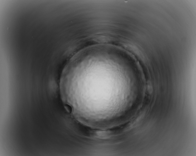 X0000094920371200712061114