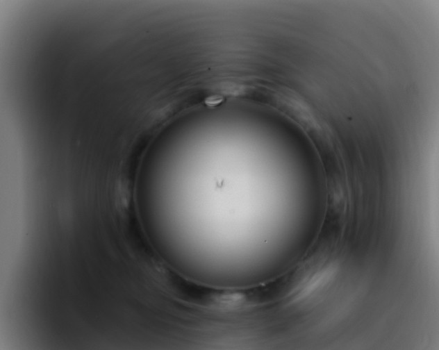 X0000094920374200712061114