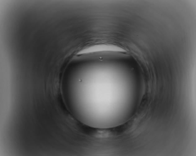 X0000094920376200712061114