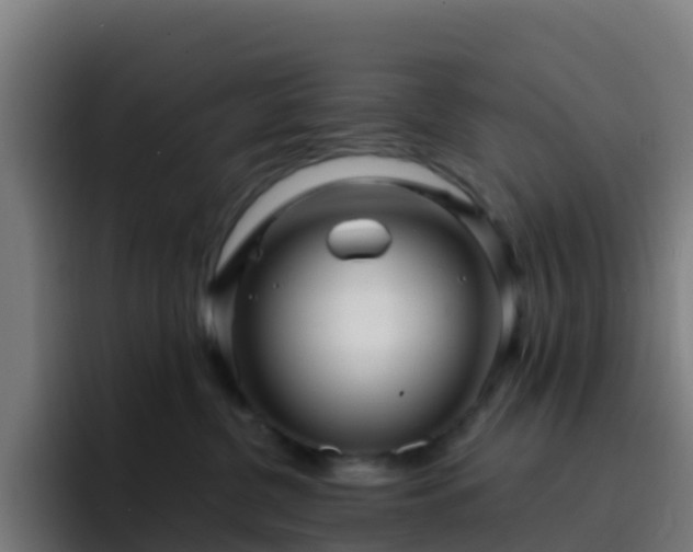 X0000094920380200712061114