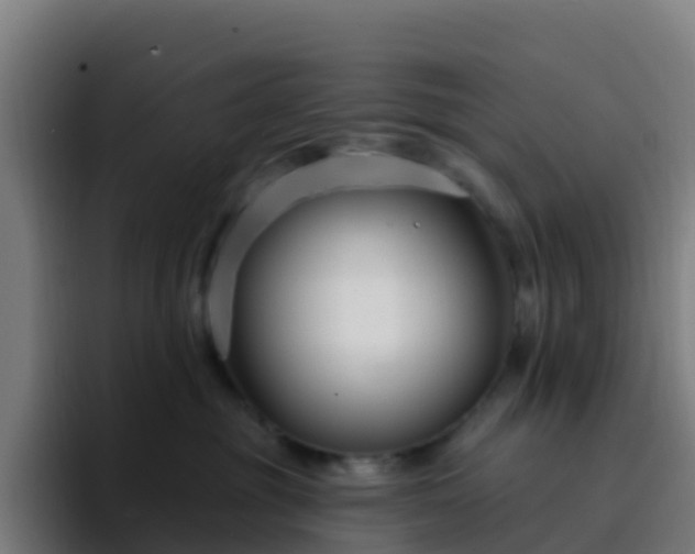 X0000094920381200712061114