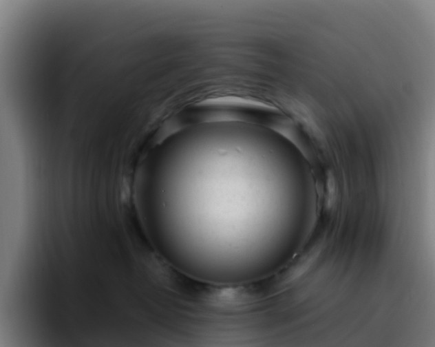 X0000094920382200712061114