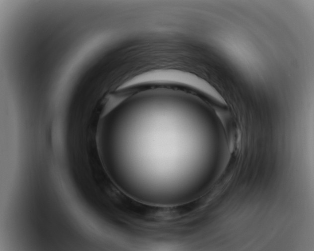 X0000094920383200712061114