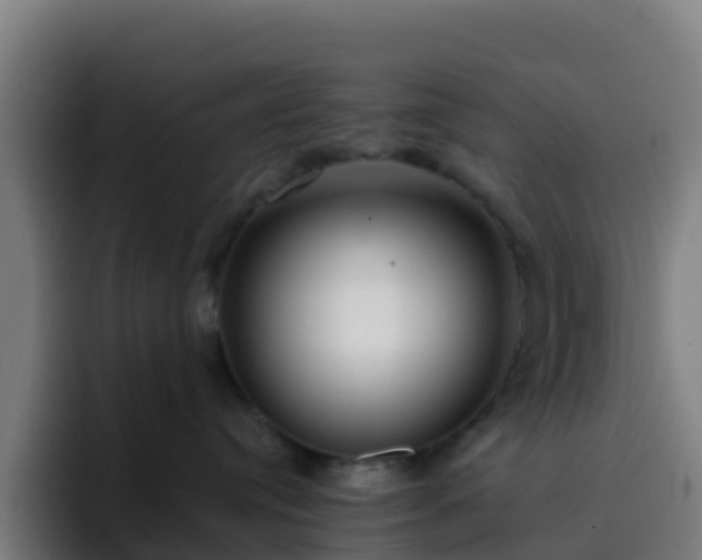 X0000094920384200712061114