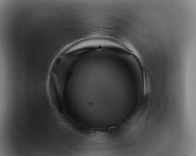 X0000094920387200712061113