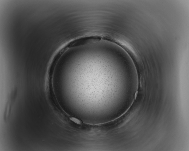 X0000094920388200712061113