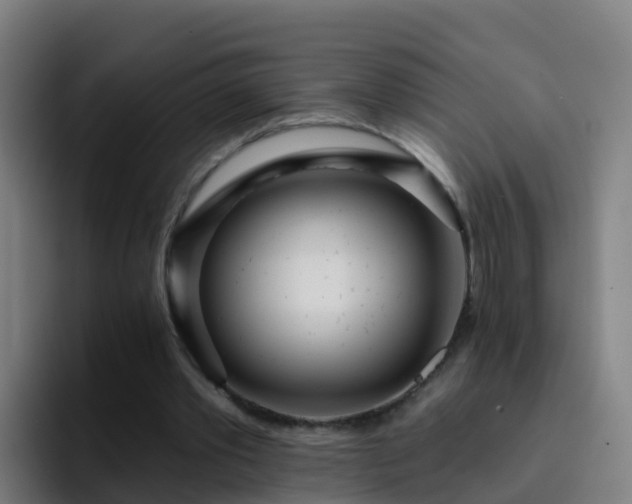 X0000094920389200712061113