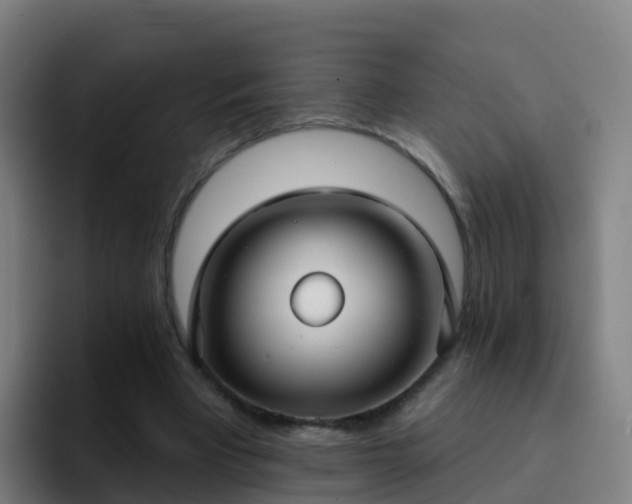 X0000094920393200712061113