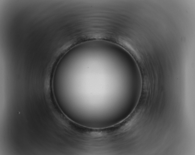 X0000094920394200712061113