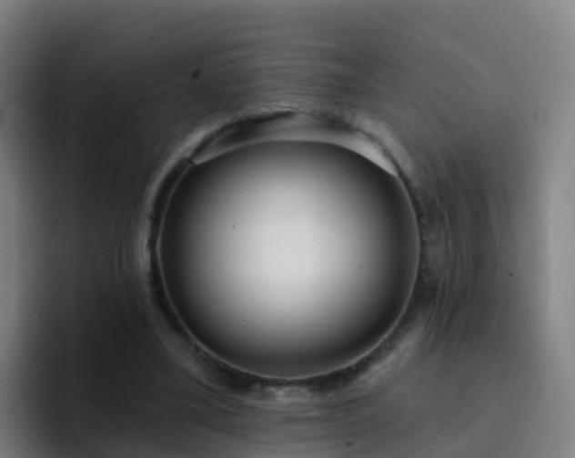 X0000094920395200712061113