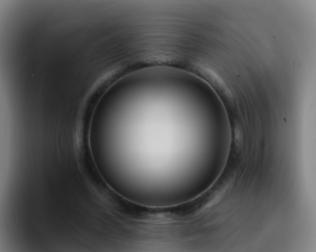 X0000094920396200712061113