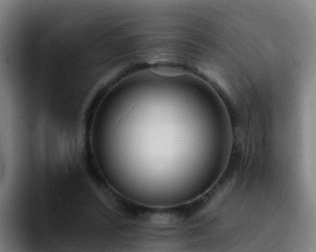 X0000094920400200712061113