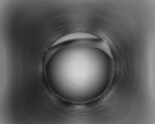 X0000094920401200712061113