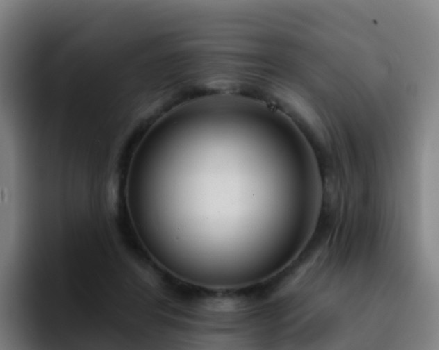 X0000094920404200712061113