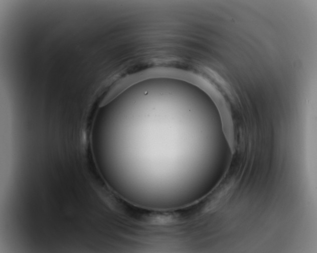 X0000094920405200712061113