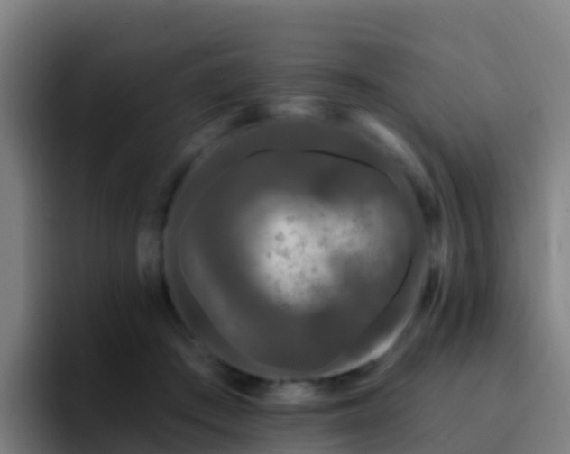 X0000094920409200712061113