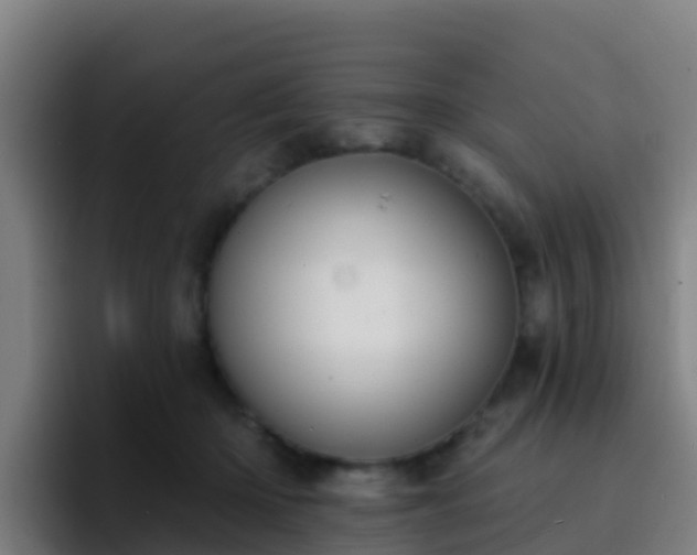 X0000094920414200712061113