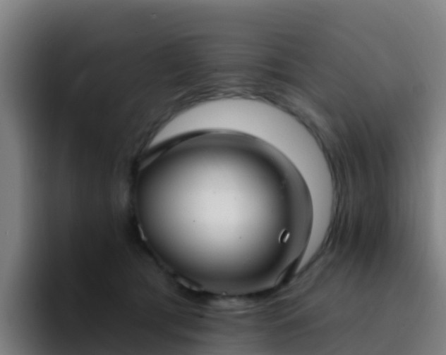 X0000094920417200712061113