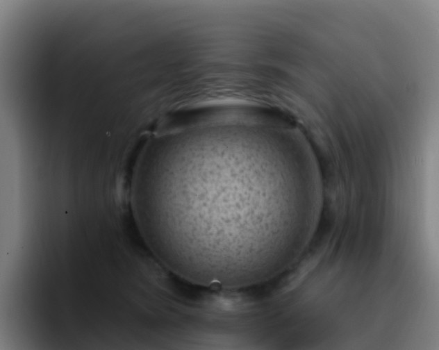 X0000094920420200712061113