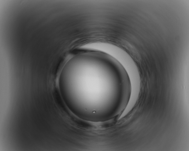 X0000094920421200712061113