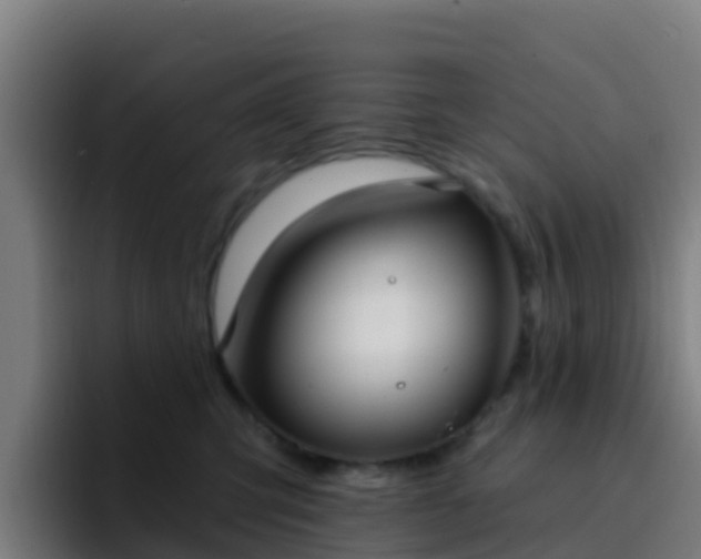 X0000094920423200712061113