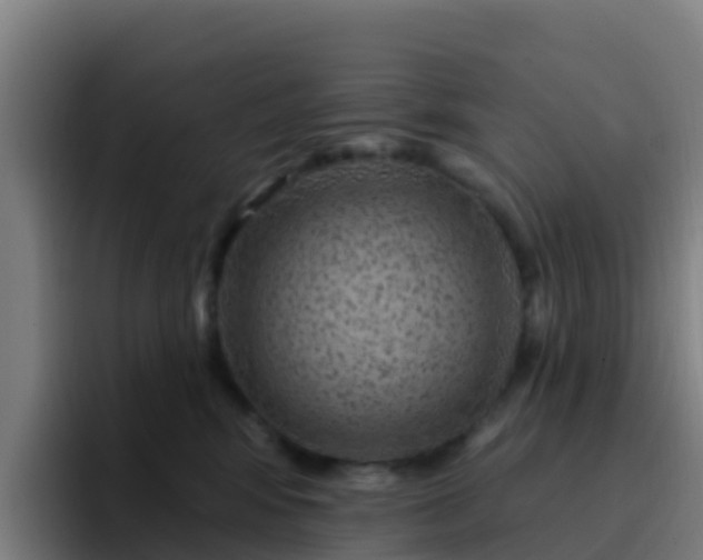 X0000094920424200712061113