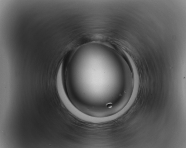 X0000094920425200712061113