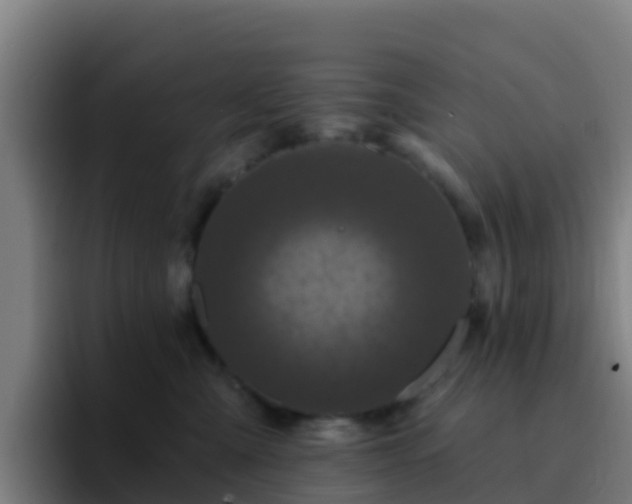 X0000094920427200712061113