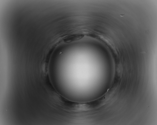 X0000094920428200712061113