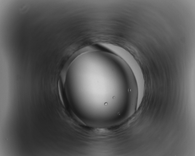 X0000094920429200712061113