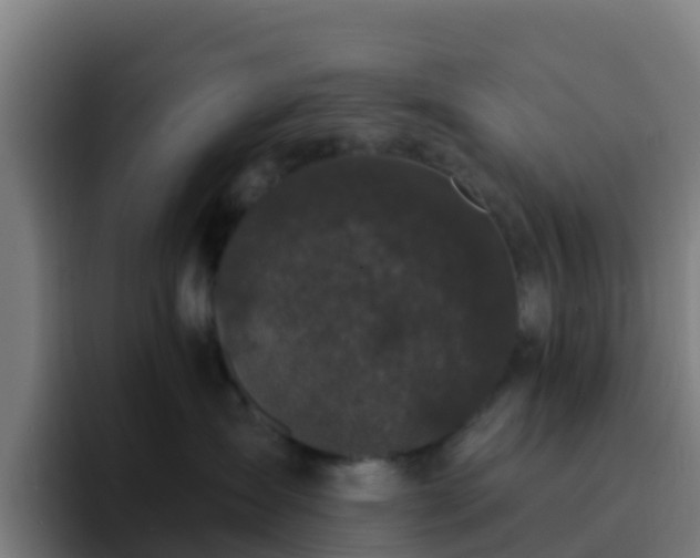 X0000094920431200712061113