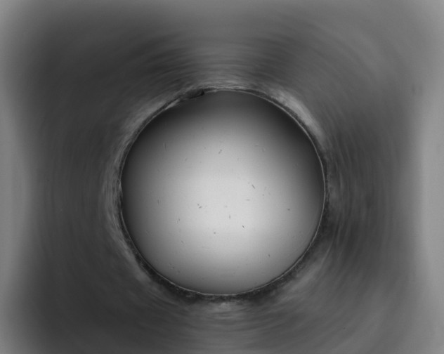 X0000094920433200712061112