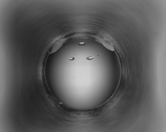 X0000094920434200712061112