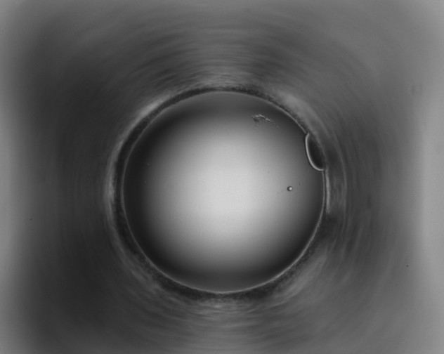 X0000094920435200712061112