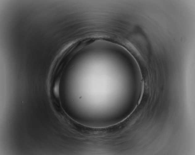 X0000094920436200712061112